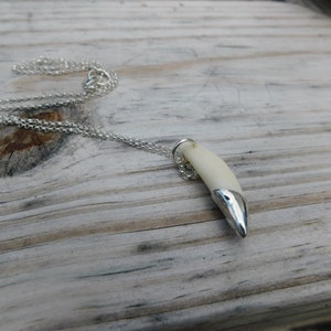 May include: A silver chain necklace with a white tooth pendant. The tooth is set in silver and has a pointed tip.