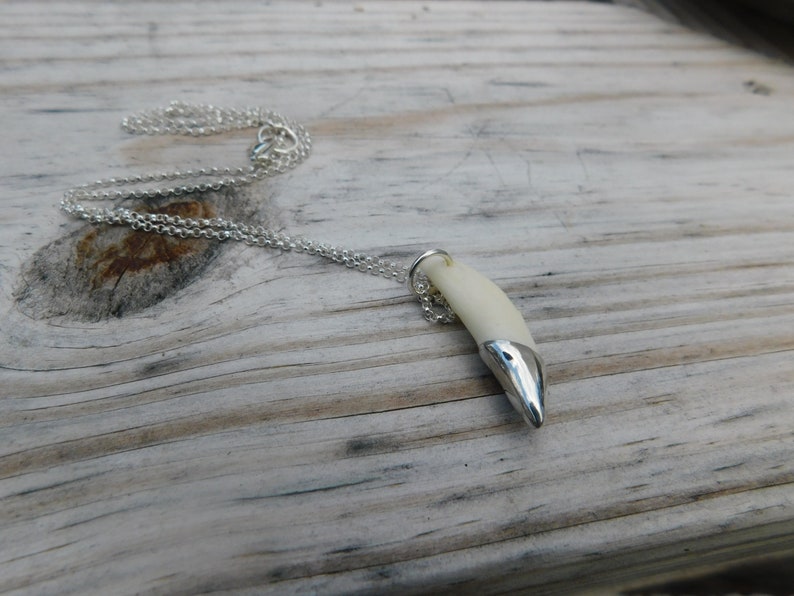May include: A silver chain necklace with a white tooth pendant. The tooth is set in silver and has a pointed tip.