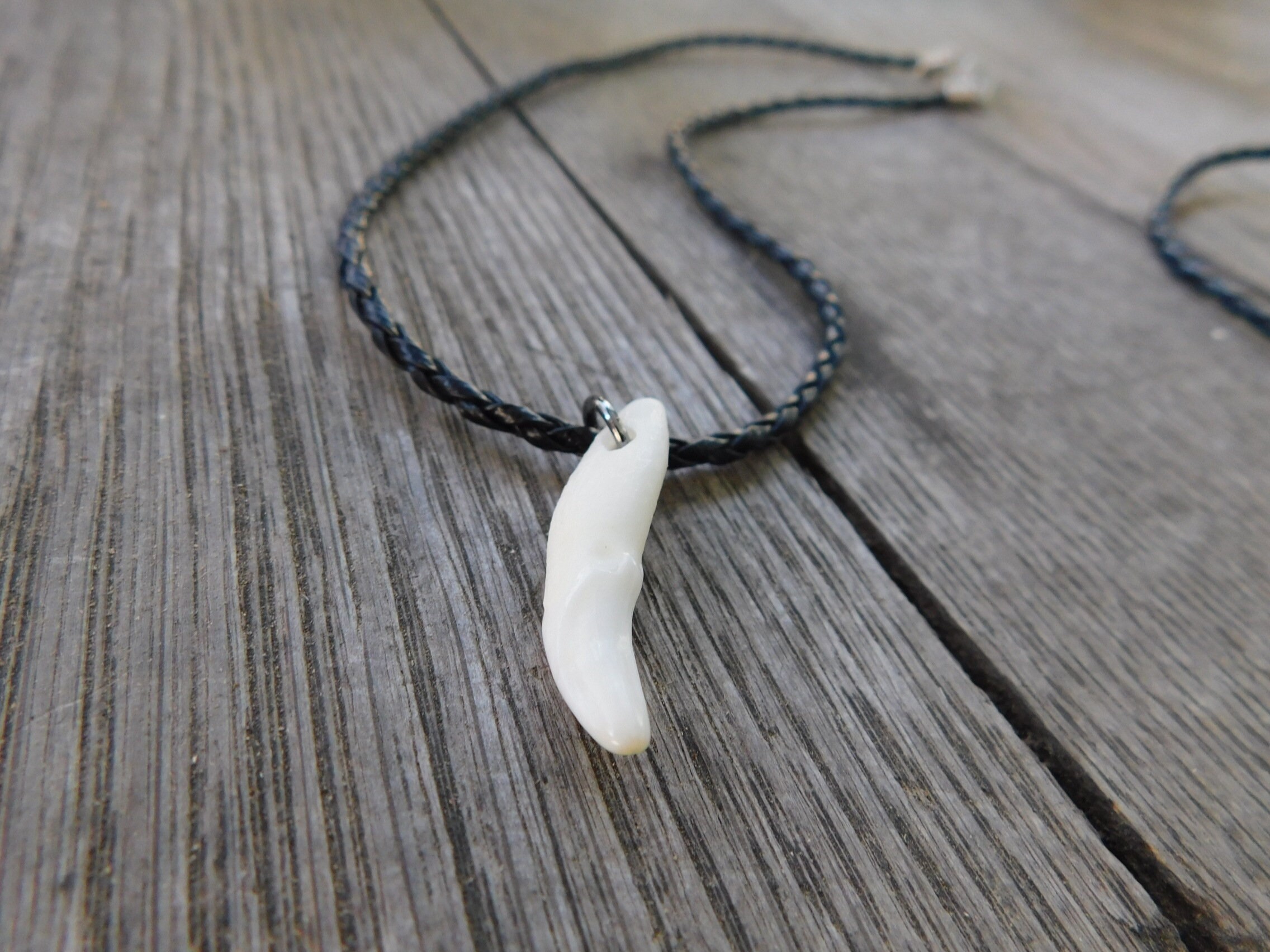 Little Wolf | Genuine White Genuine Coyote Tooth Canine Necklace