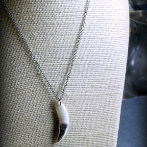 May include: A silver chain necklace with a white fang pendant.