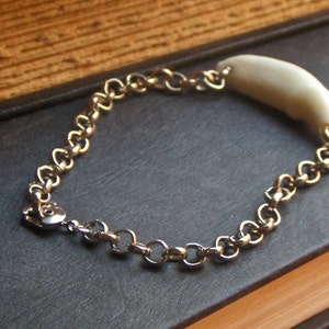 May include: A silver chain bracelet with a white, curved, shell-like charm.