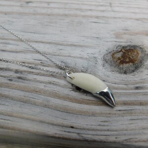May include: A silver chain necklace with a white tooth pendant. The tooth is made of polished bone and has a silver tip.