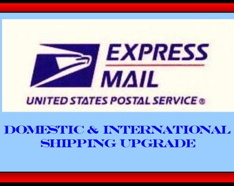 EXPRESS SHIPPING UPGRADE  : Use this listing for Domestic (next Day) or International (10+ days)shipping in addition to your order Christmas