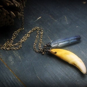 May include: A gold chain necklace with a pendant featuring a light blue crystal and a yellow tooth.