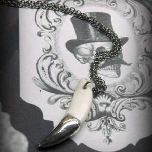 May include: A silver chain necklace with a white ceramic fang pendant. The pendant is shaped like a canine tooth and has a silver tip. The necklace is hanging from a decorative frame with a skull design.