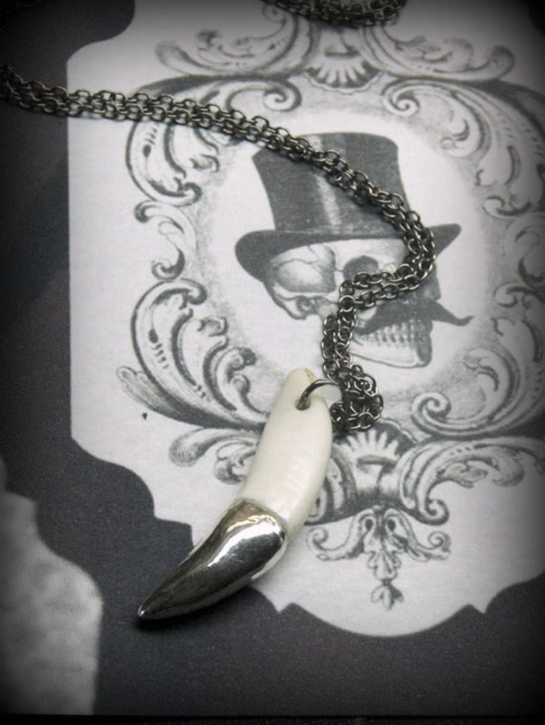 May include: A silver chain necklace with a white ceramic fang pendant. The pendant is shaped like a canine tooth and has a silver tip. The necklace is hanging from a decorative frame with a skull design.