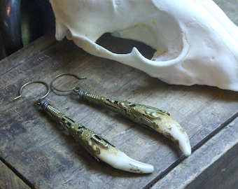 Crave.  Genuine coyote teeth fangs in brass Victorian filigree caps.  #FestiveEtsyFinds