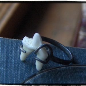 May include: A white tooth mounted on a black metal ring. The tooth is set in a ring that is open on one side. The ring is lying on a blue fabric surface.