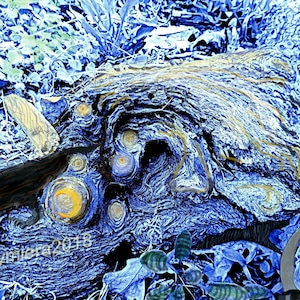 Puede incluir: Primer plano de un tronco de madera azul y amarillo con un patrón de remolino. El tronco tiene un aspecto natural y rústico y está cubierto de pintura azul y amarilla.