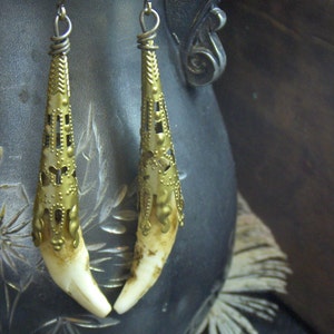 Crave. Genuine Coyote Teeth Fangs in Brass Victorian Filigree - Etsy