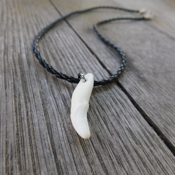 Little Wolf. Genuine White Genuine Coyote tooth canine necklace on Faux Braided Leather Cord. Unisex. Men's. gift. stocking stuffer