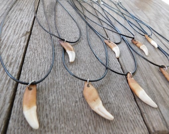 Little Wolf. Genuine Dark Hand Stained Genuine Coyote tooth canine necklace on Nylon Cord. Unisex. Men's. gift. stocking stuffer