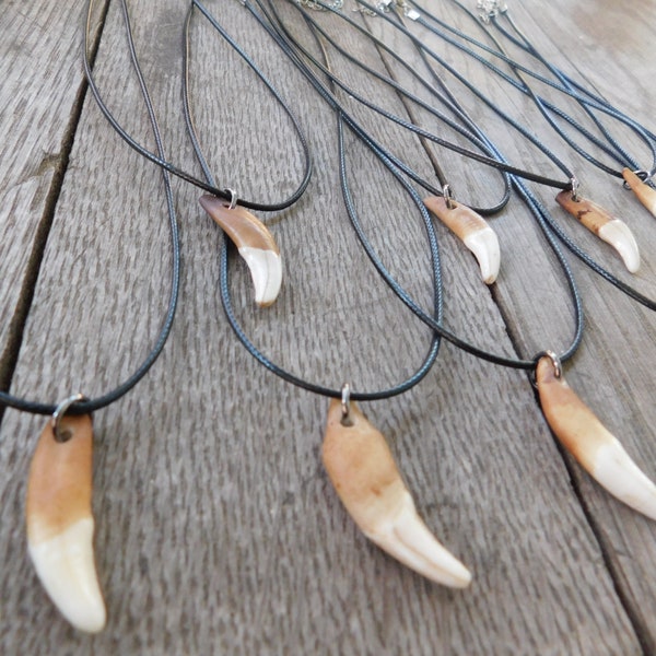 Little Wolf. Genuine Dark Hand Stained Genuine Coyote tooth canine necklace on Nylon Cord. Unisex. Men's. gift. stocking stuffer