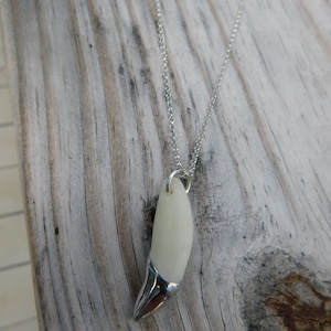 May include: A silver chain necklace with a white tooth pendant. The tooth is polished and has a silver tip.