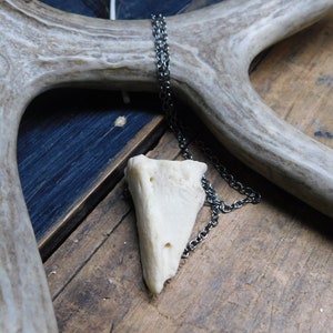 May include: A white bone pendant with a rough, textured surface hangs from a black chain. The pendant is shaped like a triangle and has several holes in it. The chain is visible against a brown wooden background.