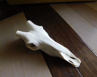 Faux Taxidermy Giraffe Skull Head made of hard poly- Resin. Real & Natural looking. Perfect for your Safari decor!  #FestiveEtsyFinds