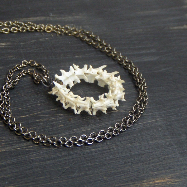 The Ouroboros (dead) Necklace.  Circle of snake vertebra necklace. Animal Bone Jewelry. snakebone necklace. tribal amulet. naga world