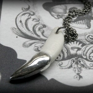 May include: A silver pendant necklace featuring a white tooth-shaped charm. The pendant is hanging from a silver chain.