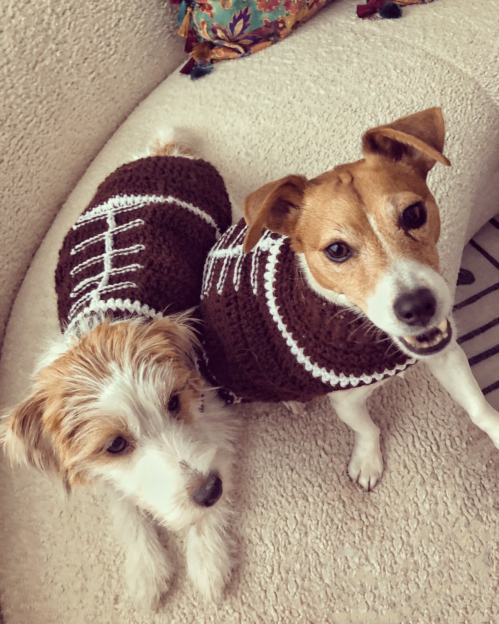 Blue Football Player Dog Costume