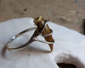 The Witch Of Turtle Pond. Genuine Turtle CLaw & STerling Silver RIng . Made to Order custom in you size.