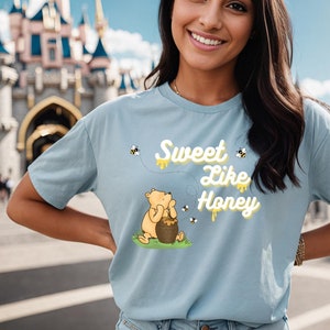 Camisa vintage Winnie the Pooh, camisa de globo Winnie the Pooh, camisa Eeyore, camisa Tigger, camisa Piglet, camisa The Pooh, camisa súper suave