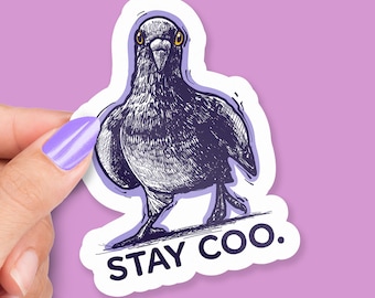 Sticker Stay Coo, jeu de mots pigeon dessiné à la main, sticker oiseau mignon pour ordinateur portable, sticker bouteille d'eau drôle, cadeau pour les collègues de travail ou les amateurs d'oiseaux