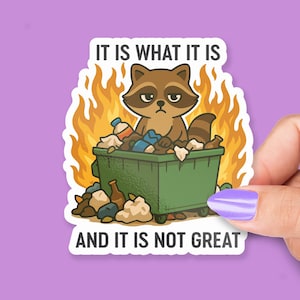 It Is What It Is and It’s Not Great, Funny Raccoon Dumpster Fire Design