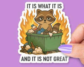 It Is What It Is and It’s Not Great, Funny Raccoon Dumpster Fire Design