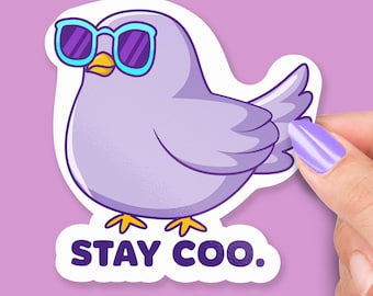 Sticker Stay Coo, Pigeon drôle dans des verres, Sticker pour ordinateur portable oiseau mignon, Sticker bouteille d'eau, cadeau pour les collègues de travail ou les amateurs d'oiseaux