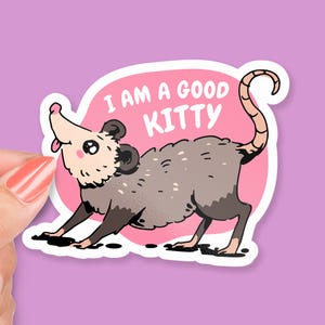 I&#39;m a Good Kitty Sticker, Funny Possum Pretending to Be a Cat, Cute Animal Pun, Possum Humor Gift, OtterTags Vinyl Sticker