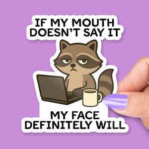 If My Mouth Doesn’t Say It, My Face Definitely Will, Sarcastic Raccoon Office Humor