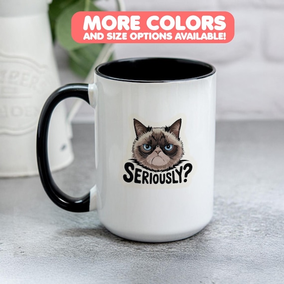 Seriously? Grumpy Cat Mug, Funny Sarcastic Coffee Cup for Coworkers, Office Humor Gift