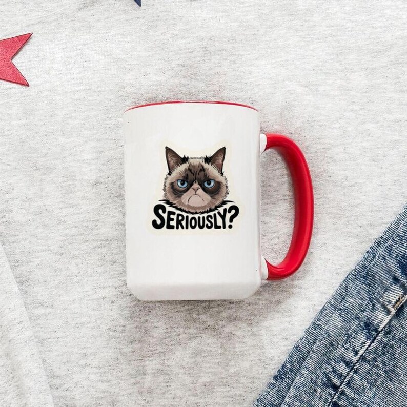 May include: White ceramic mug with a red interior and handle. The mug features a graphic of a grumpy cat with the text "Seriously?" in black. The mug is on a light gray surface.