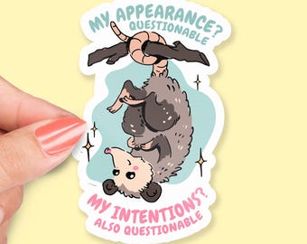 Puede incluir: Una pegatina con un dibujo de una zarigüeya colgada boca abajo de una rama. La zarigüeya es gris y blanca con una nariz y orejas rosas. El texto de la pegatina dice "My Appearance? Questionable" y "My Intentions? Also Questionable."