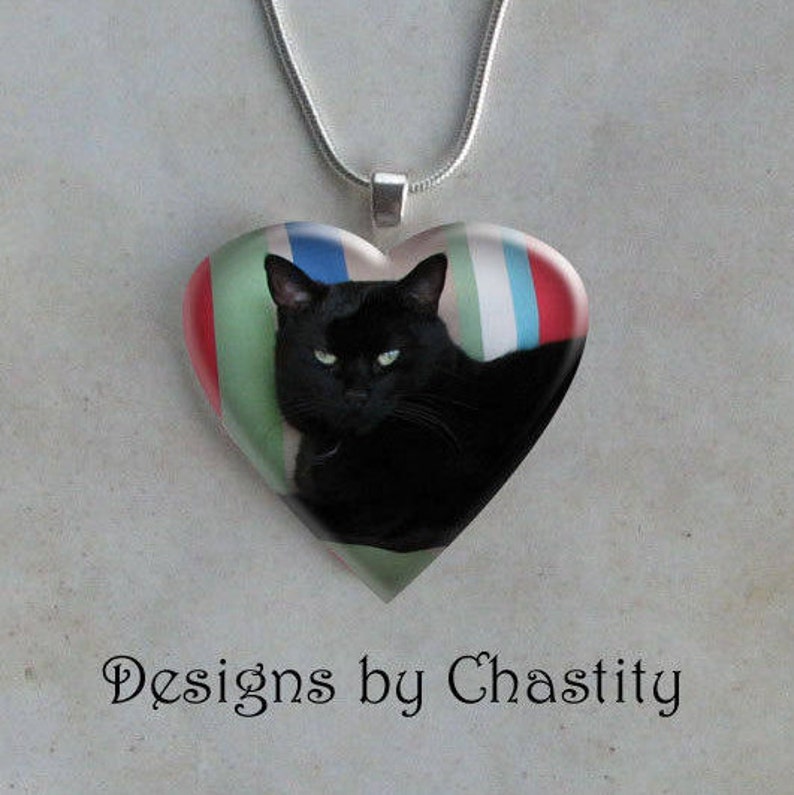 Custom Heart Photo Necklace Pet Memory Charm Glass Art Tile Pendant Silver Snake Chain Included image 1