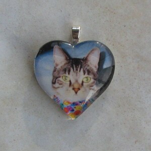 Custom Heart Photo Necklace Pet Memory Charm Glass Art Tile Pendant Silver Snake Chain Included image 3