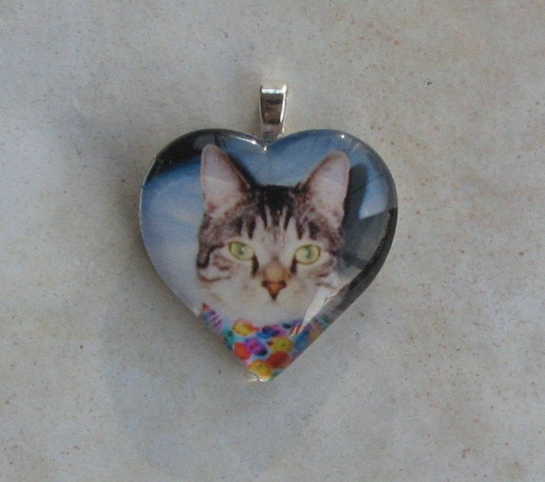 Custom Heart Photo Necklace Pet Memory Charm Glass Art Tile Pendant Silver Snake Chain Included image 3