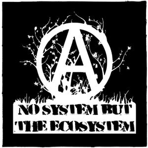 No System But The Ecosystem Punk Patch DIY Eco-Anarchist Metal Crust Doom Canvas Sew-On Patch for Battle Vest Jacket Backpack Jeans Nature
