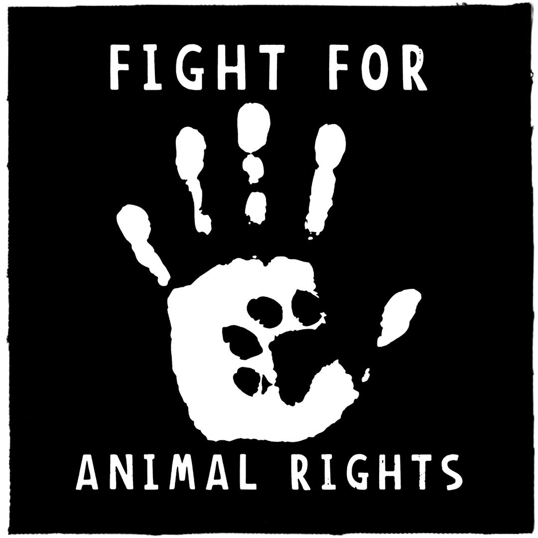 Fight for Animal Rights Punk Patch DIY Paw Print Metal Crust Doom ...