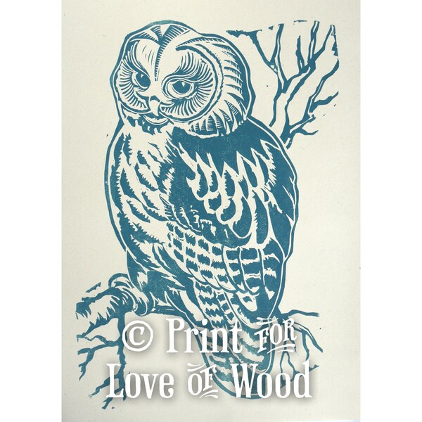 Large Owl Linocut in Smokey Indigo Blue