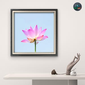 ピンクの蓮の花のウォールアート - 自然のミニマリストポスター - Fleur de Lotus Rose -Art Zen à Imprimer - Affiche Murale Numérique