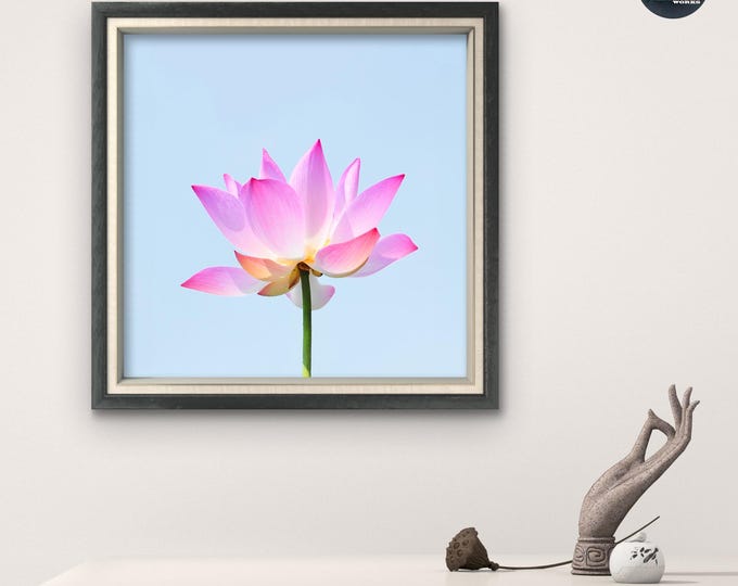 Pink Lotus Flower Wall Art - Nature Minimalist Poster - Fleur de Lotus Rose -Art Zen à Imprimer - Affiche Murale Numérique