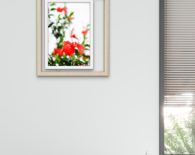 Hibiscus Wall Art - Malaysia National Flower Print - Red Floral Decor - Botanical Photography - Feminine Energy & Feng Shui Painting