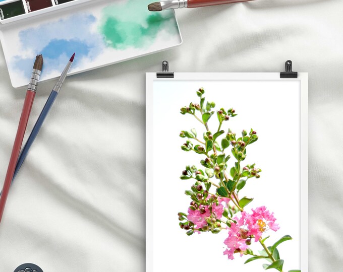 Blush Pink Crape Myrtle Wall Art Print – Minimalist Botanical Flower Photography – Soft Romantic Nature Decor For Desk Space Or Office