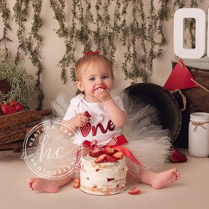 Strawberry First Birthday Outfit Girl: Cake Smash Tutu Dress