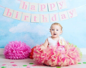 Sweet One Birthday Outfit | Fluffy Tutu Dress