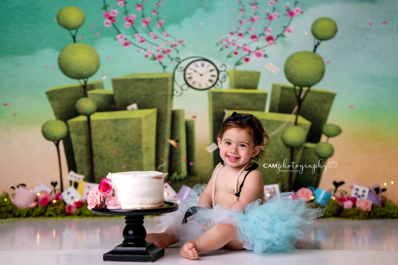 First Birthday Outfit Alice in Wonderland Themed Smash Cake Outfits for 1 Year Old Baby Girl Alice in Onederland 1st Birthday Gift image 6