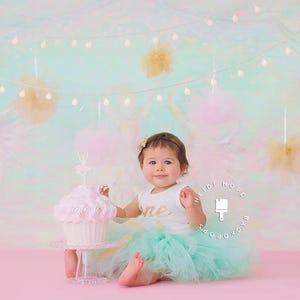 One Year Old Girl Birthday Outfit | First Birthday Outfit Girl | 1st Birthday Tutu Dress | Wild One Cake Smash Baby Girl | Personalized Gift