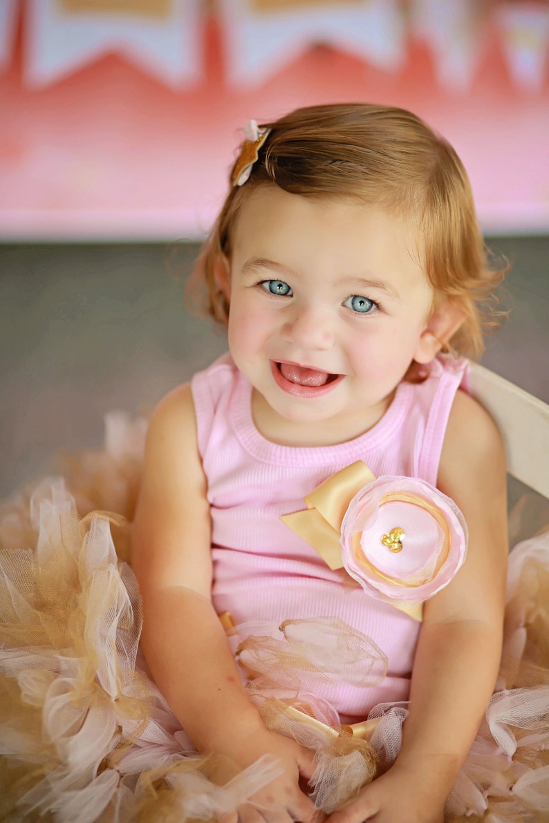 Cake Smash Outfit Girl 1st Birthday First Birthday Tutu Etsy