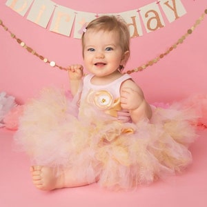 Twinkle Little Star Birthday Outfit for One Year Old Girl image 2